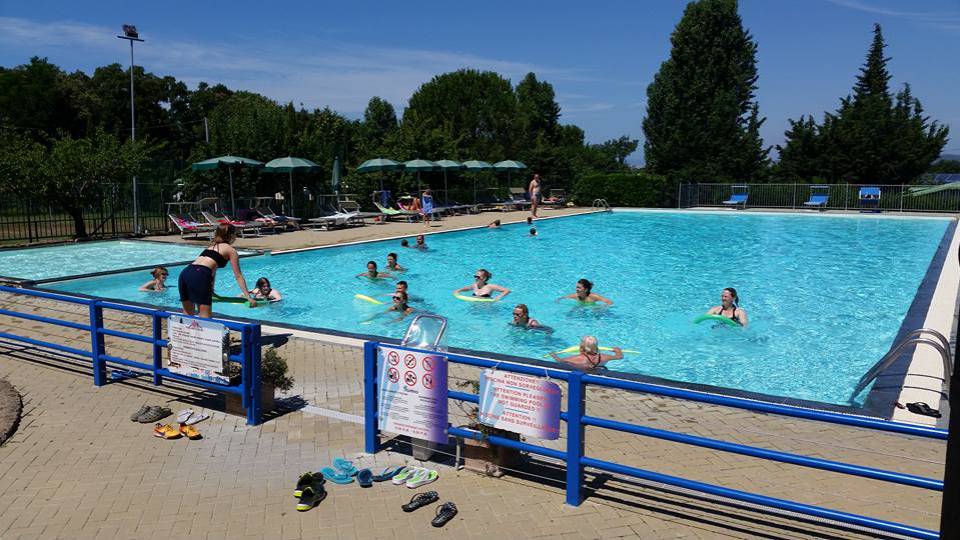 13507065_1556182248019967_208916343741639490_n