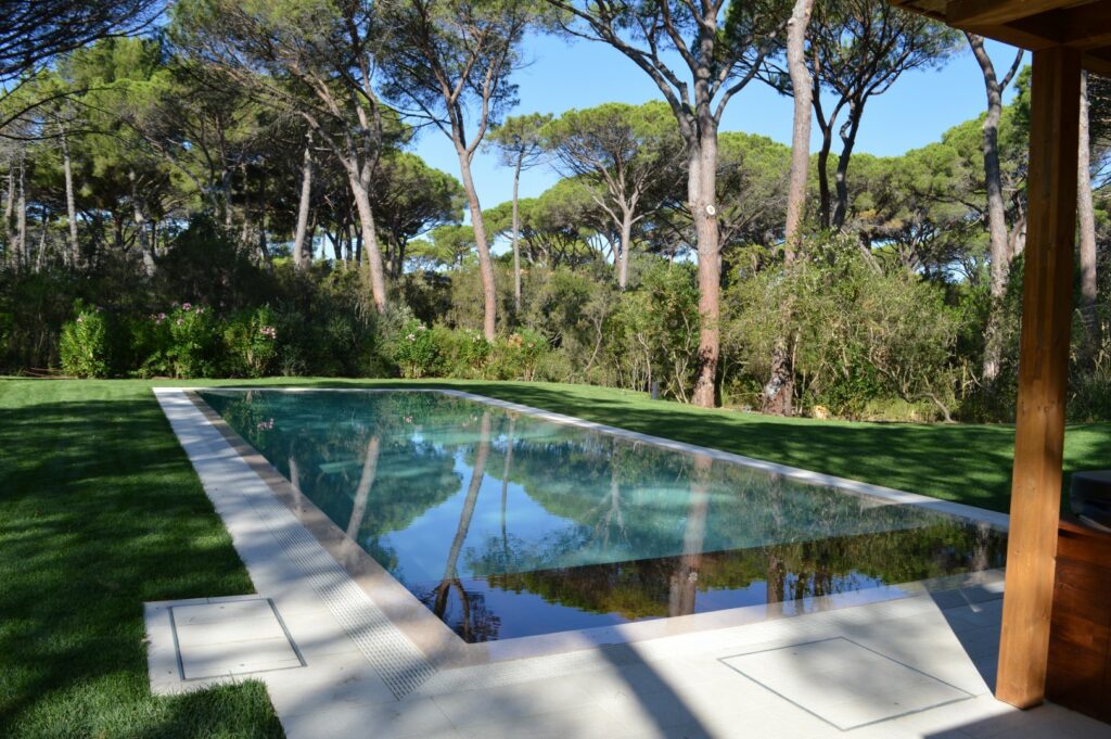 DSC_2433 (Большой)