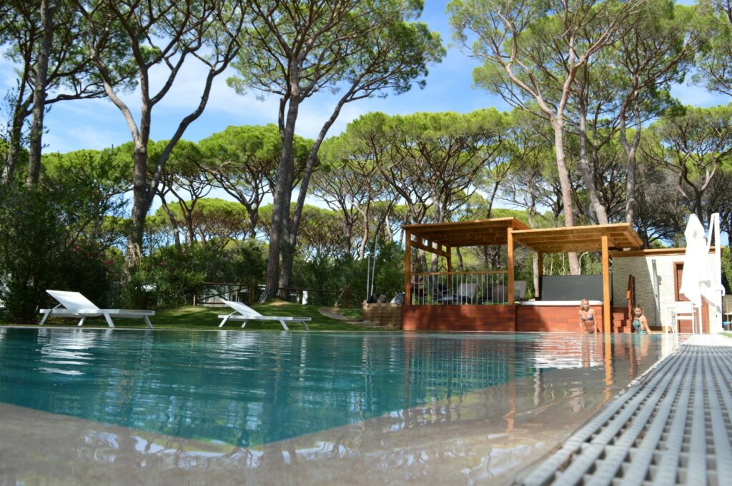 DSC_3441 (Большой)